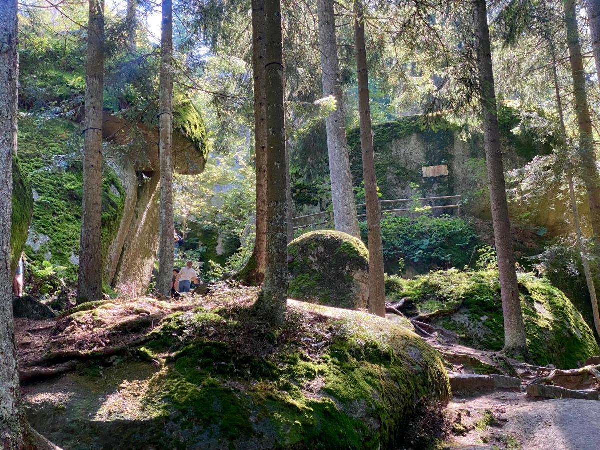 Ferienwohnung Oxana Im Naturpark Fichtelgebirge Schonwald  Exterior photo